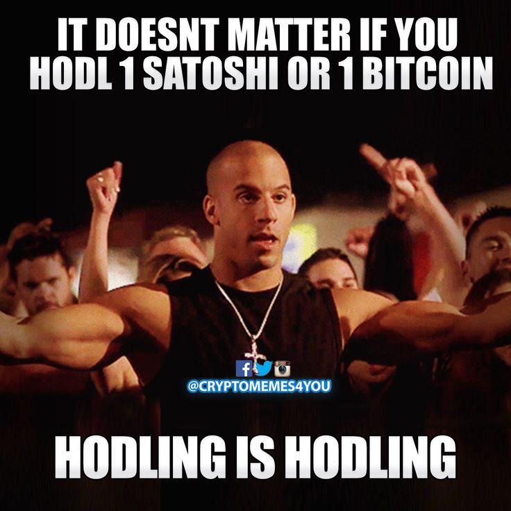 HODL Meme