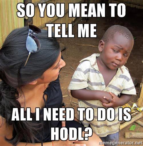 HODL Meme