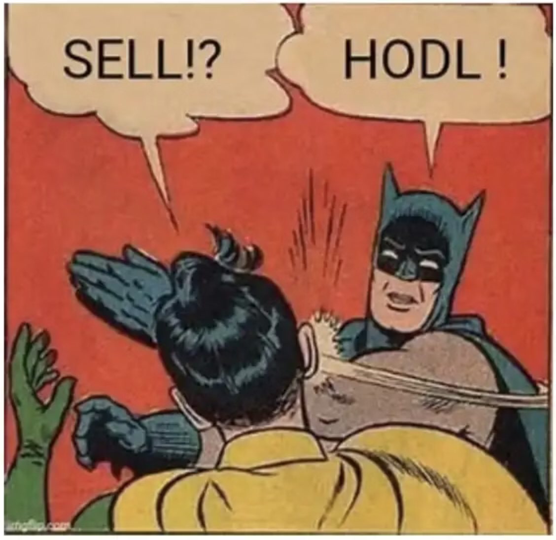 HODL Meme
