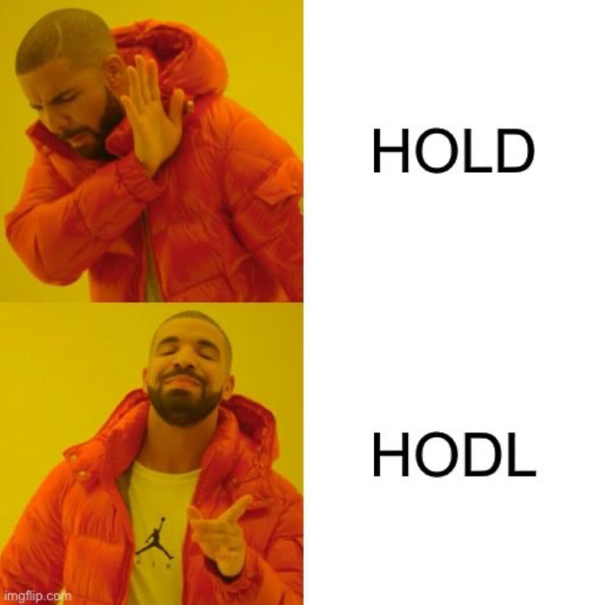 HODL Meme
